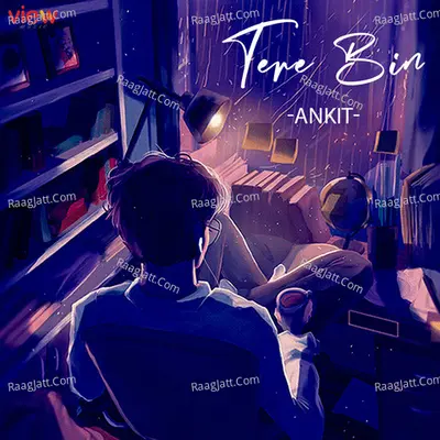 Tere Bin (Unplugged Version) Cover