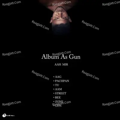 Album As Gun Poster