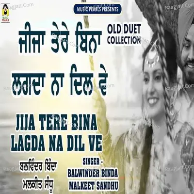 Jija Tere Bina Lagda Na Dil Ve Cover