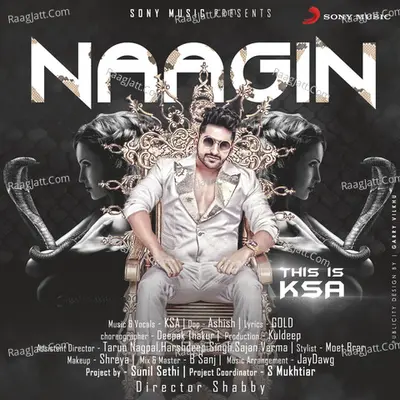 Naagin Cover