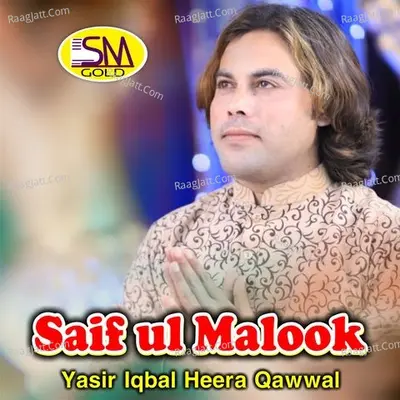 Saif Ul Malook Poster