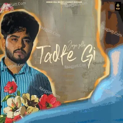 Tadfe Gi Cover