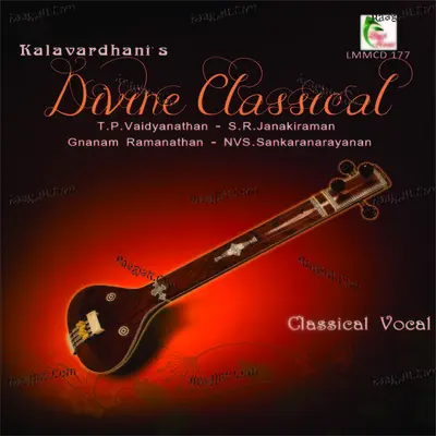 Divine Classical - T.P.Vaidyanathan