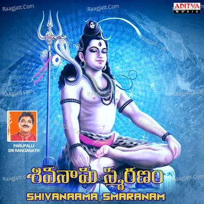 Shivanaama Smaranam - Parupalli Sri Ranganath