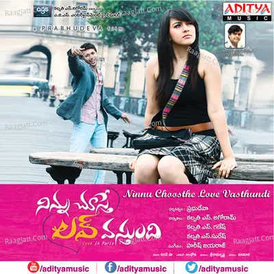 Ninnu Choosthe Love Vasthundi Poster