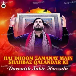 Hai Dhoom Zamanay Main Shahbaz Qalandar Ki - Single