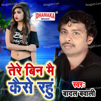 Tere Bin Mai Kaise Rahu