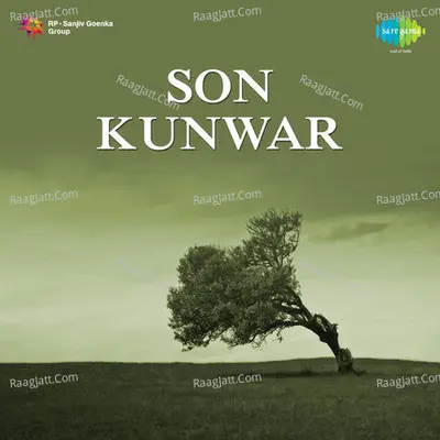 Son Kunwar Guj Poster
