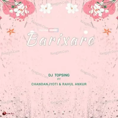 Barixare (Puhor) Cover