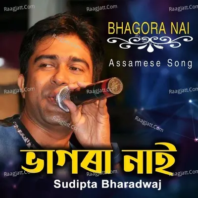 Sudipta Bharadwaj