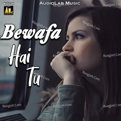 BEWAFA HAI TU