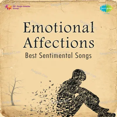 Emotional Affections - Best Sentimental Songs - Various Artists