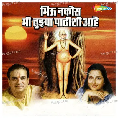 Bhiu Nakos Mi Tujya Pathishi Aahe - Suresh Wadkar