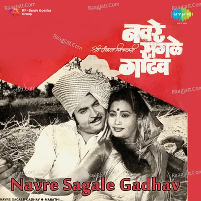 Navre Sagale Gadhav Mar - Chandrashekhar Gadgil