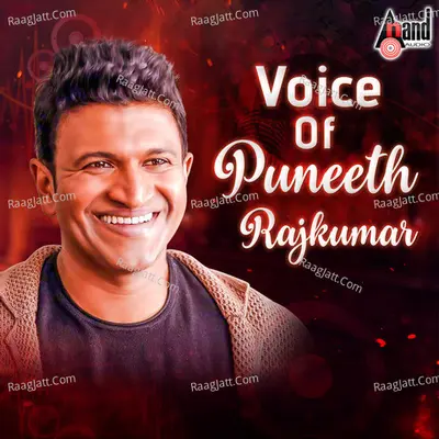 Voice Of Puneeth Rajkumar - Puneet Rajkumar