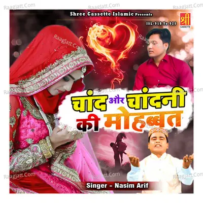 Chand Aur Chandani Ki Mohabbat Poster