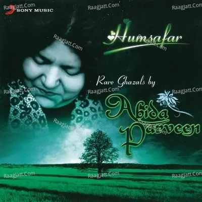 Humsafar Poster