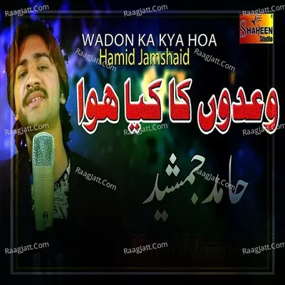 Wadon Ka Kya Hoa - Single