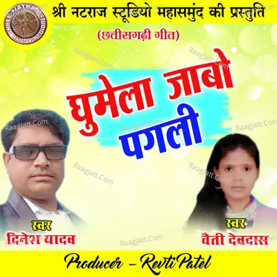 Ghumela Jabo Pagli (Chhattisgarhi Geet) Cover