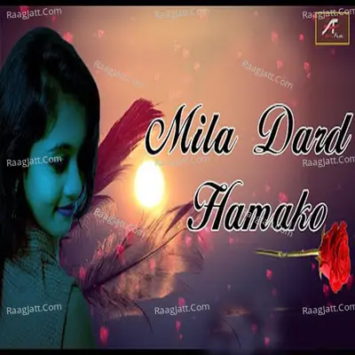 Mila Dard Hamko