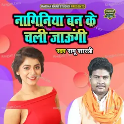 Naginiya Ba Ke Chali Jaungi