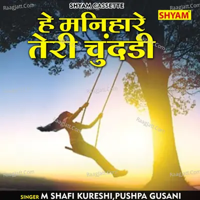 He manihare teri chunddi Cover