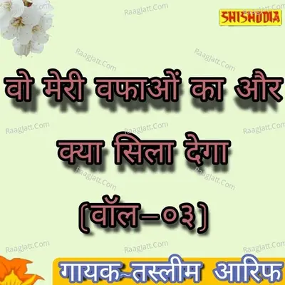 Wo meri wafaon ka or kia sila dega vol 3 Cover