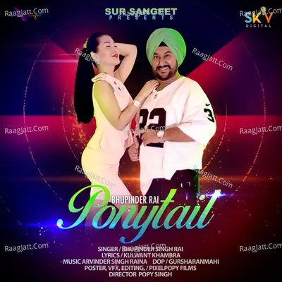 Ponytail Cover