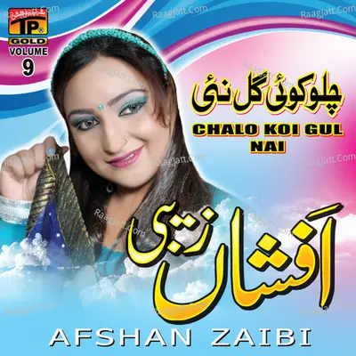 Chalo Koi Gul Nai, Vol. 9 Poster