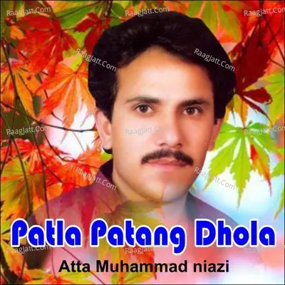 Patla Patang Dhola Poster