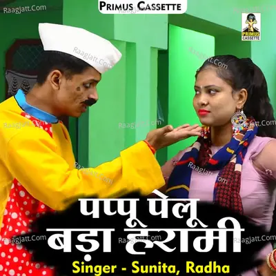 Pappu pelu bada harami Cover