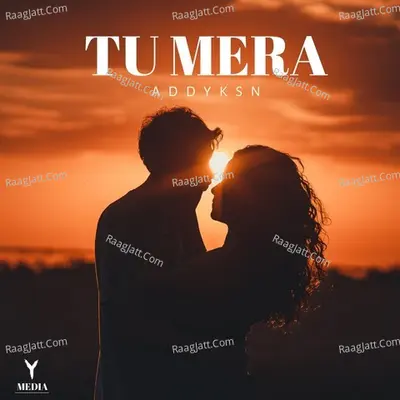 Tu Mera Cover
