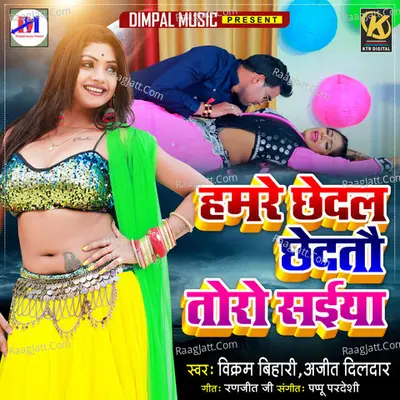 Hamre Chhedal Chhedtau Toro Saiya Cover