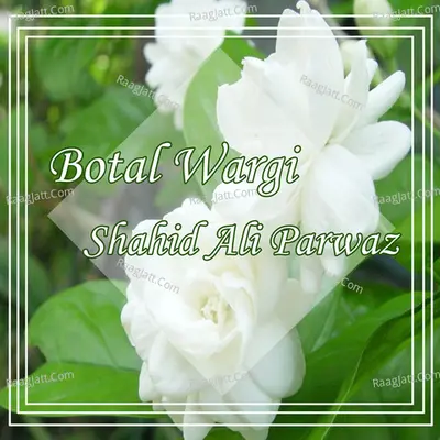 Botal Wargi - Shahid Ali Parwaz