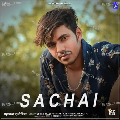 Sachai Cover