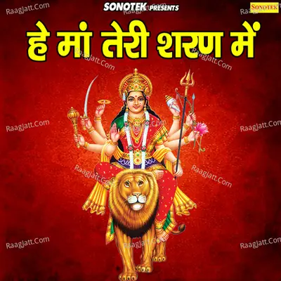 He Maa Teri Sharan Mein Cover