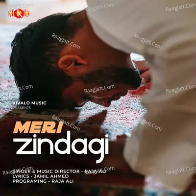 Meri Zindagi Cover