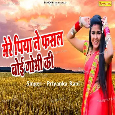 Mere Piya Ne Fasal Boi Gobhi Ki Cover