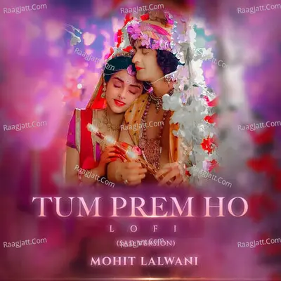 Mohit Lalwani Image