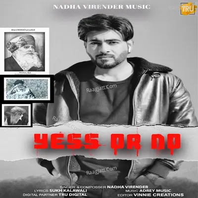 Yess or No Cover
