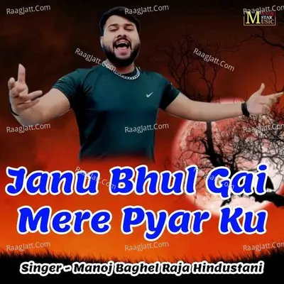 Janu Bhul Gai Mere Pyar Ku Cover