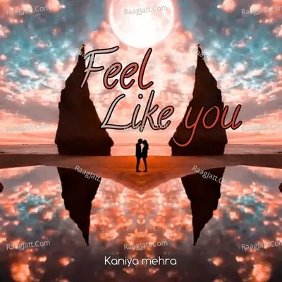 Feel Like You Cover