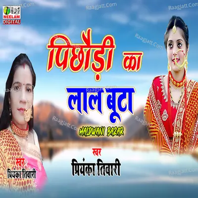 Pichhodi Ka Lal Buta Cover