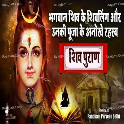 Pancham Parveen Sethi Image