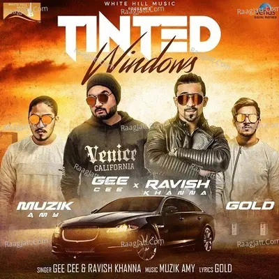 Tinted Windows Cover