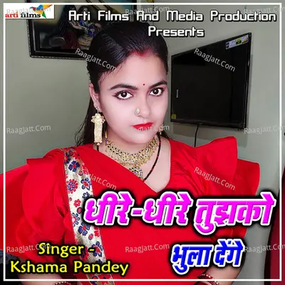 Dheere Dheere Tujhko Bhula Denge Poster