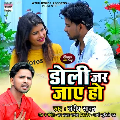 Doli Jar Jaye Ho Cover