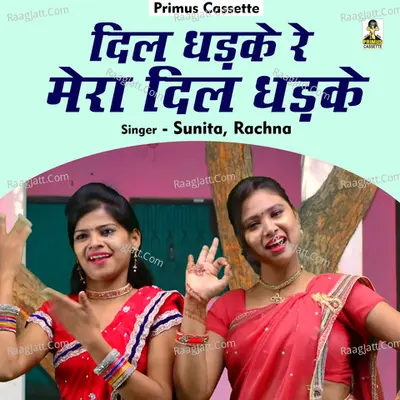 Dil dhadake re mera dil dhadake Cover