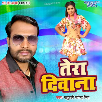 Tera Deewana Poster