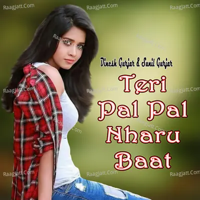 Teri Pal Pal Nharu Baat Cover